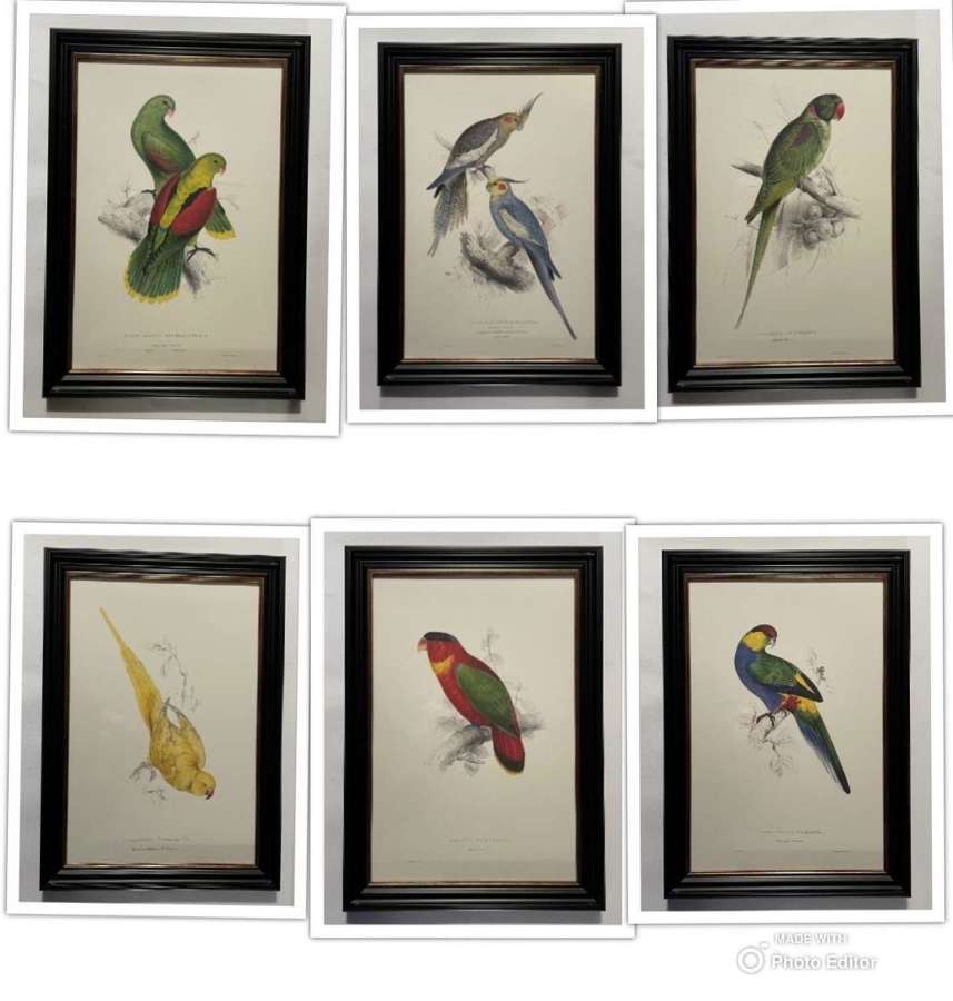 Edward Lear - Superb Set of Six Hand Coloured Lithographs of Parrots (