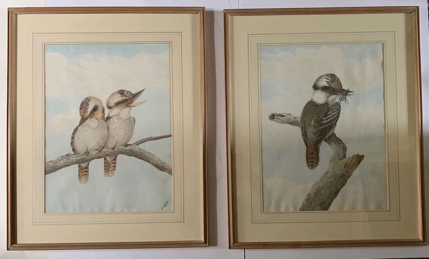 Neville Henry Cayley - Pair of Watercolours of Kookaburras