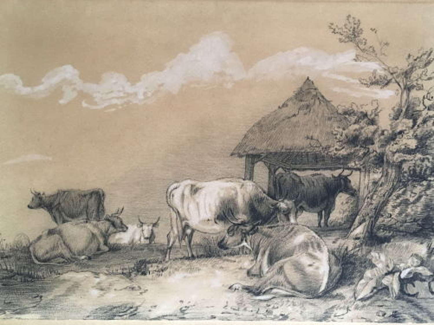 Attr To Thomas Sidney Cooper - Pencil / Crayon Cattle