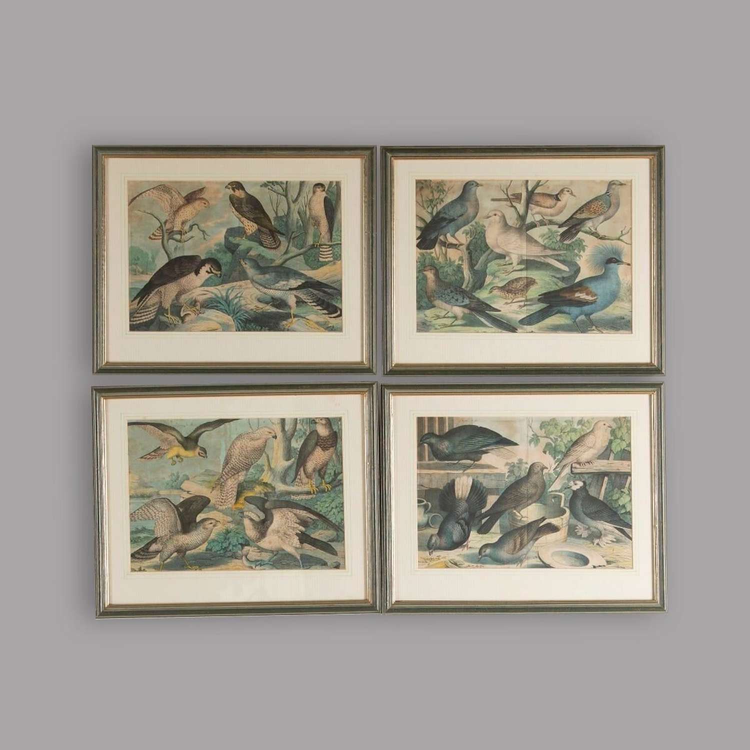 Set of Four 19th Century Hand Colourized Engravings