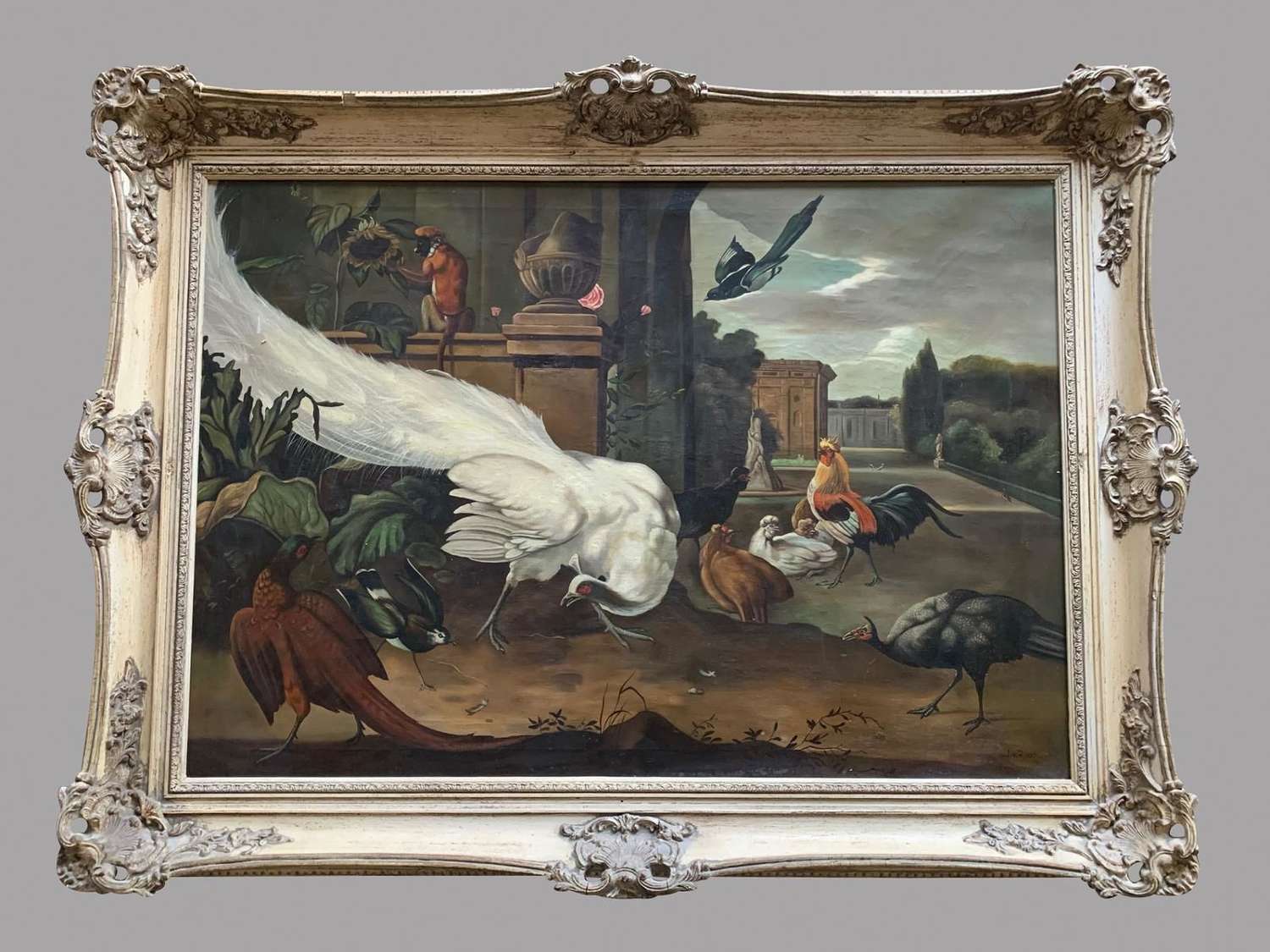 Jacob Van Roon Dutch - Oil on Canvas - 'The White Peacock'