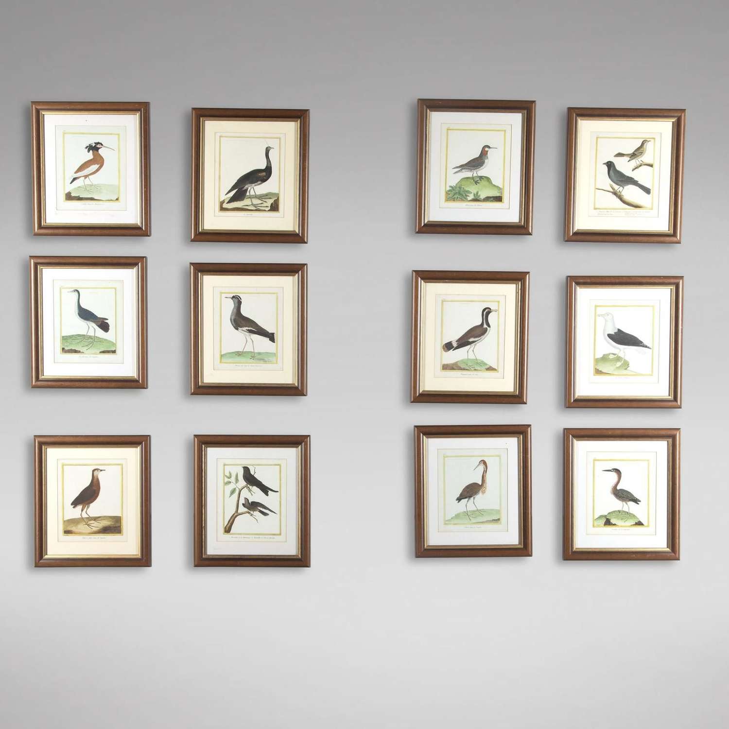 Set of Twelve Bird Hand Coloured Engravings by Martinet