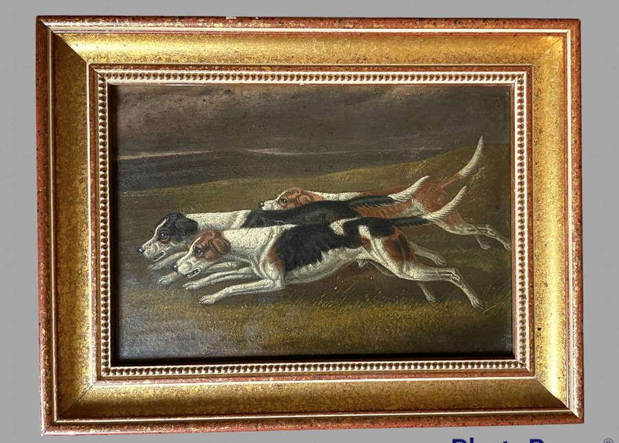 Foxhounds in Pursuit - Oil on Canvas 19thc