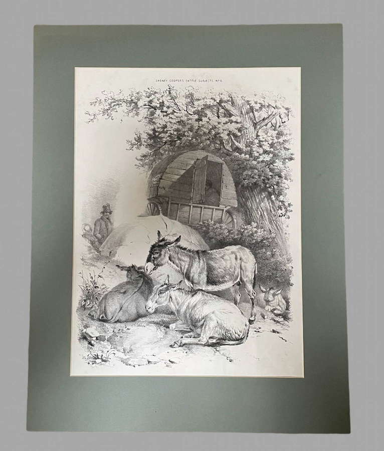Thomas Sidney Cooper Lithograph c1830 Donkeys