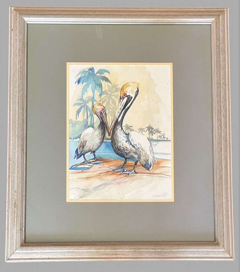 Gilly Gobinet - Pelican - Watercolour On Paper Signed