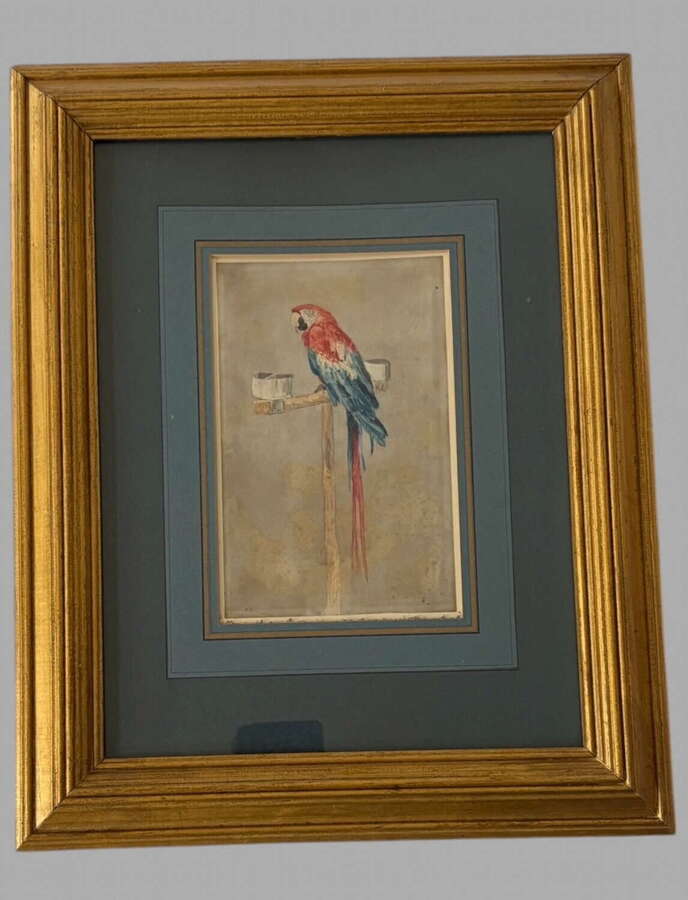 William Andrews Nesfield (1793&ndash;1881) &ldquo;Mother Faux&rsquo;s Macaw, Farnley Hall&rdquo;