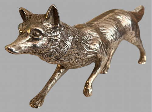 A Fabulous Large Silver Fox c1904