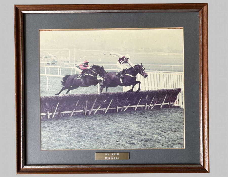Monksfield Beating Sea Pigeon in the 1979 Champion Hurdle