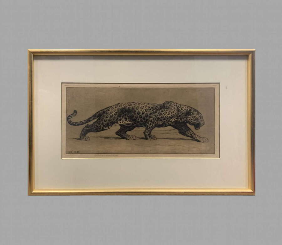 Herbert Dicksee - Etching on Paper 1922- Signed Artist Proof Ltd Ed - 'Study of Leopard'