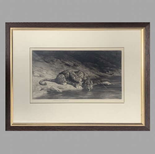 Herbert Dicksee - Etching on Paper 1916 - Signed Artists Proof Ltd Ed - 'Leopard Drinking'