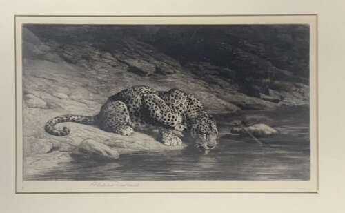 Herbert Dicksee - Etching on Paper 1916 - Signed Artists Proof Ltd Ed - 'Leopard Drinking'