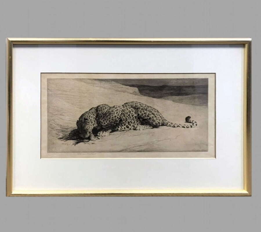Herbert Dicksee - Etching On Paper 1920 - Signed Art Proof Ltd Ed - Leopard & Jungle Fowl