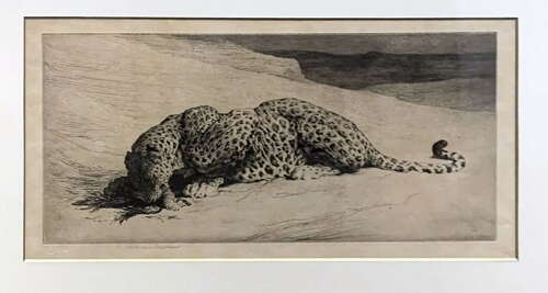 Herbert Dicksee - Etching On Paper 1920 - Signed Art Proof Ltd Ed - Leopard & Jungle Fowl