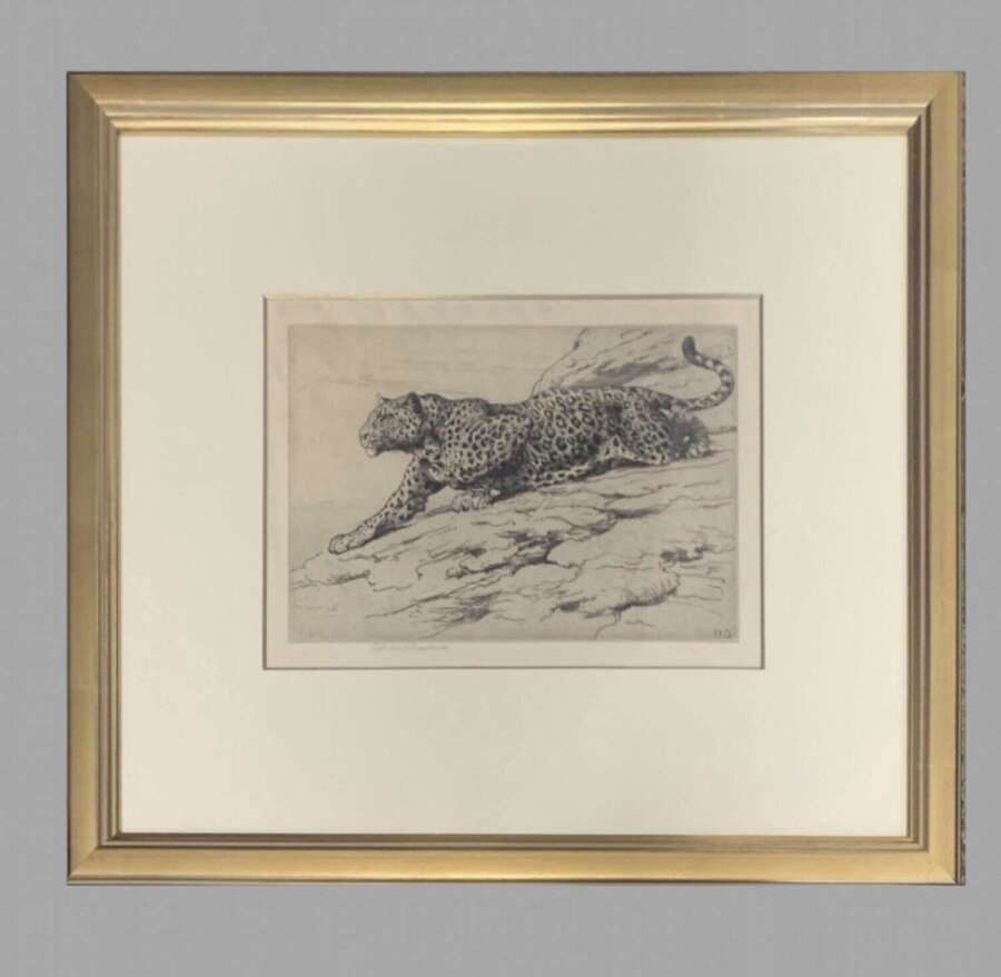 Herbert Dicksee - Etching on Paper c1900- Signed Art Proof Ltd Ed - 'Leopard on Hillside'